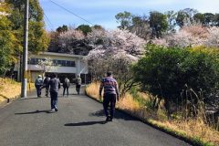 お花見へ