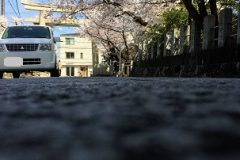 子どもが撮ってくれた綺麗な景色