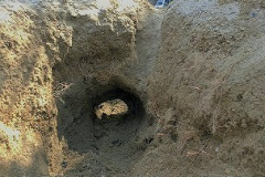 公園の砂場でトンネルを掘った
