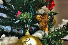 みんなで飾り付けたクリスマスツリー、とっても綺麗