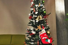 素敵なクリスマスツリーが完成！とっても大きい