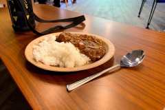完成したカレーは絶品でした